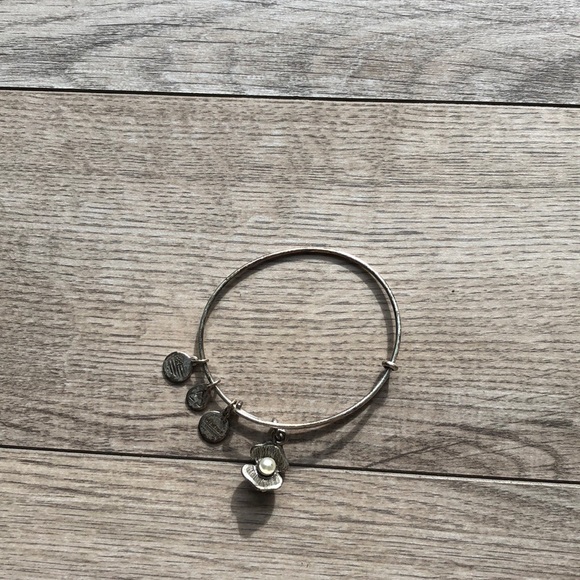 Alex and Ani charm bracelet - Picture 2 of 4